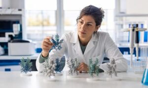 Ricercatrice seleziona in laboratorio il modello della futura mutazione del virus influenzale.